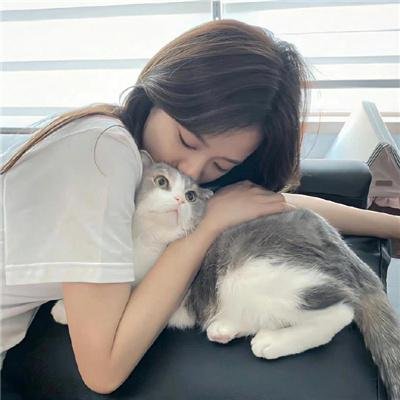 总统班底